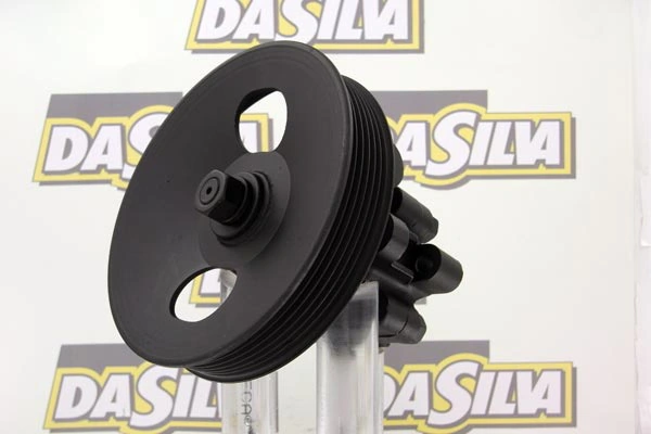 Pompe hydraulique, direction DA SILVA DP2963