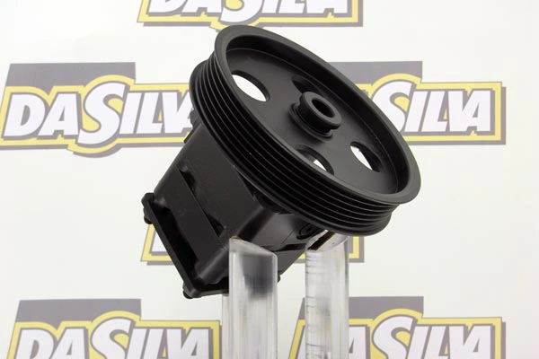 Pompe hydraulique, direction DA SILVA DP2987