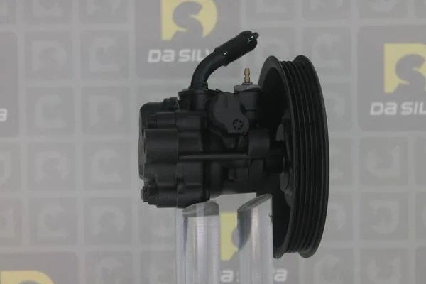 Pompe hydraulique, direction DA SILVA DP2570