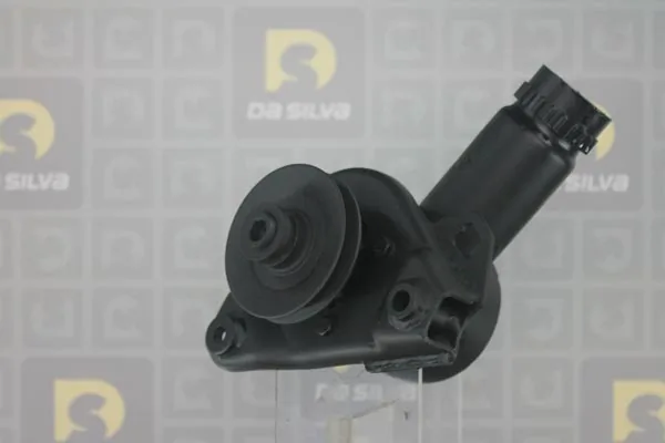 Pompe hydraulique, direction DA SILVA DP2438