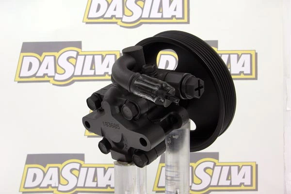 Pompe hydraulique, direction DA SILVA DP2963