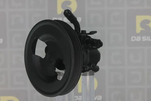 Pompe hydraulique, direction DA SILVA DP2570