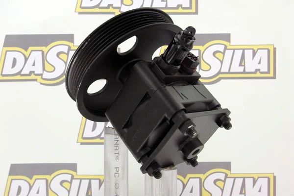 Pompe hydraulique, direction DA SILVA DP2987