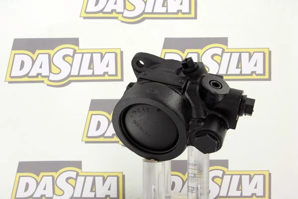 Pompe hydraulique, direction DA SILVA DP2885