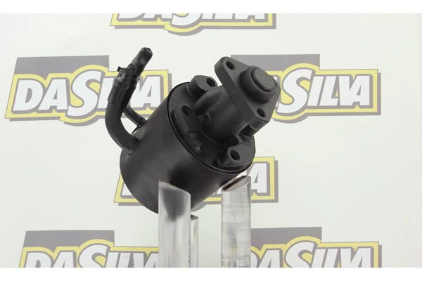 Pompe hydraulique, direction DA SILVA DP2538