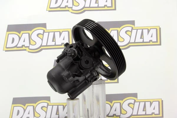 Pompe hydraulique, direction DA SILVA DP2892