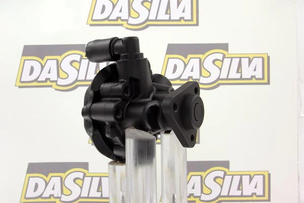 Pompe hydraulique, direction DA SILVA DP2886