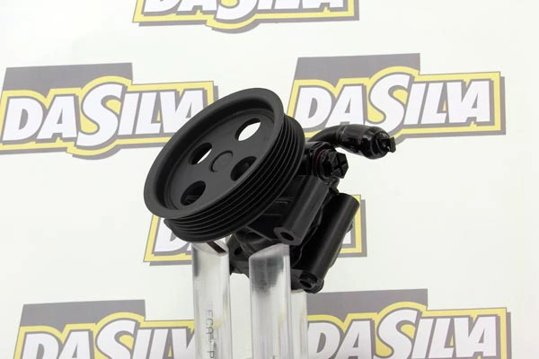 Pompe hydraulique, direction DA SILVA DP2889