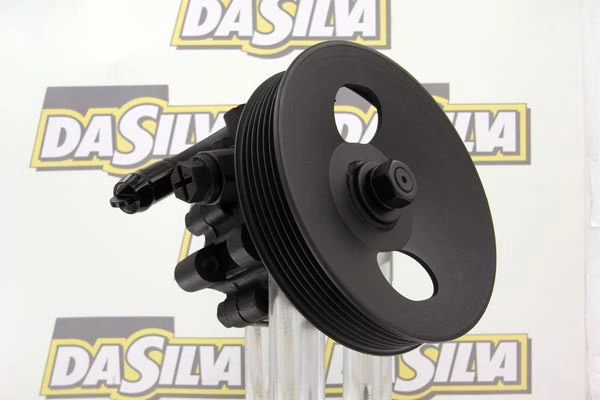 Pompe hydraulique, direction DA SILVA DP2963