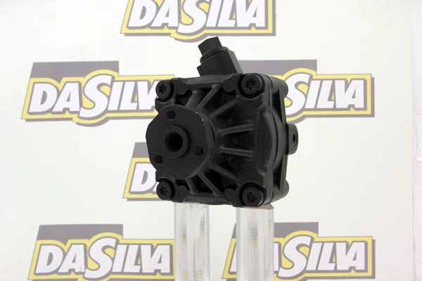 Pompe hydraulique, direction DA SILVA DP2534