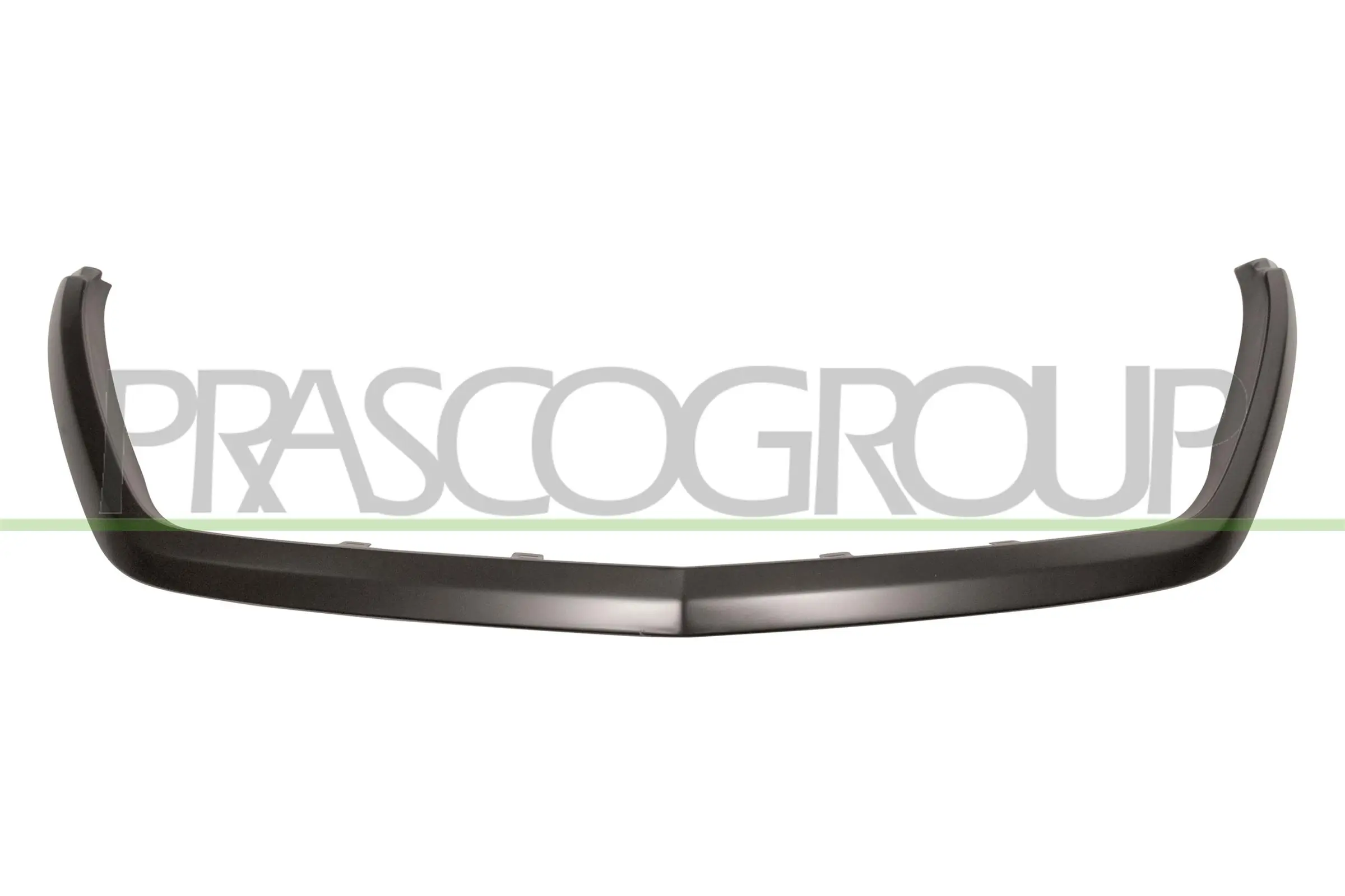 Trim/Protection Strip, radiator grille