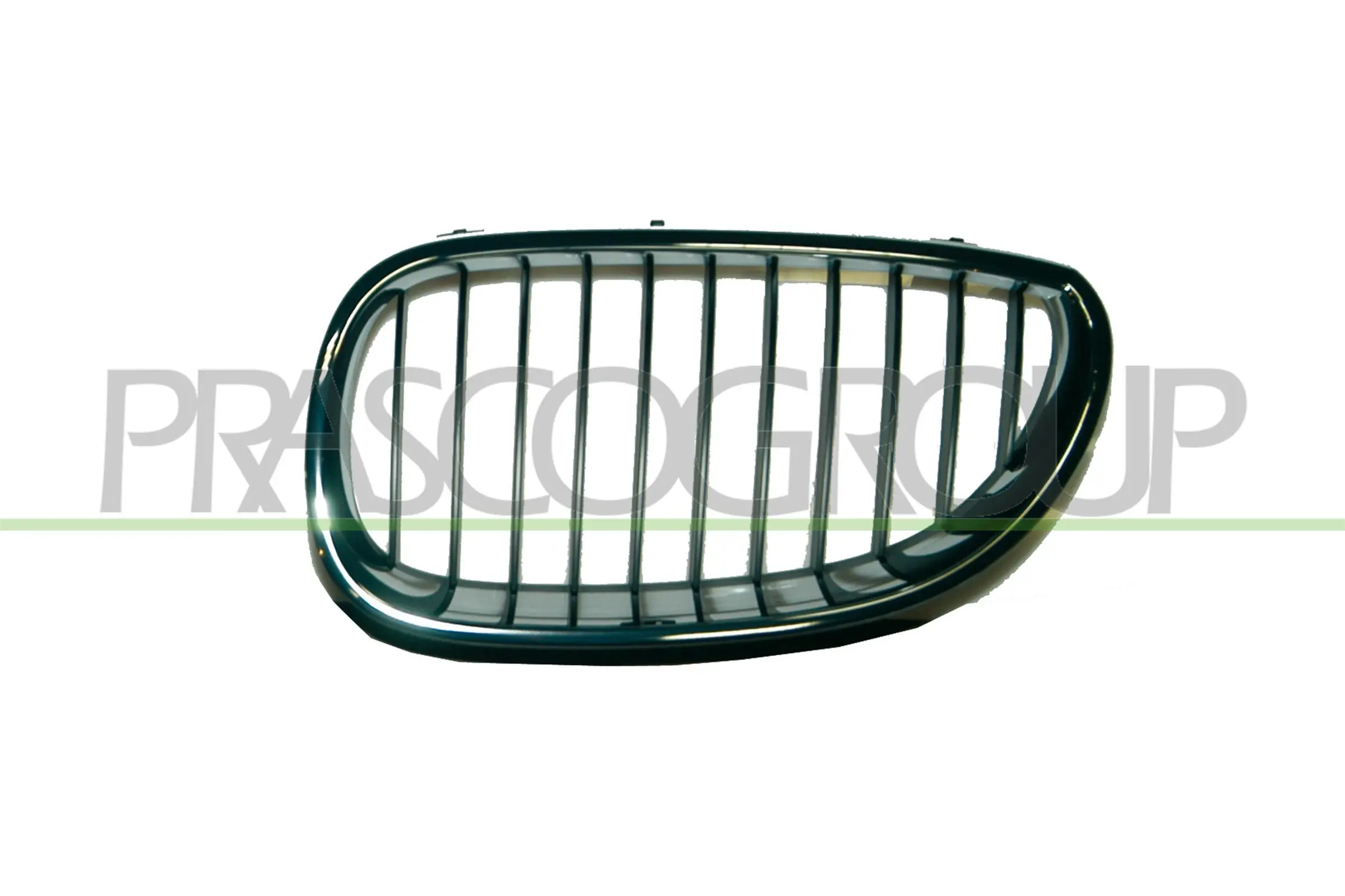 Radiator Grille