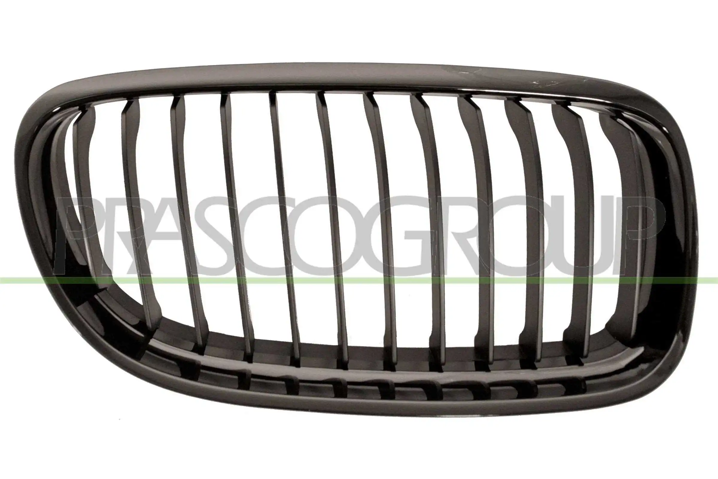 Radiator Grille