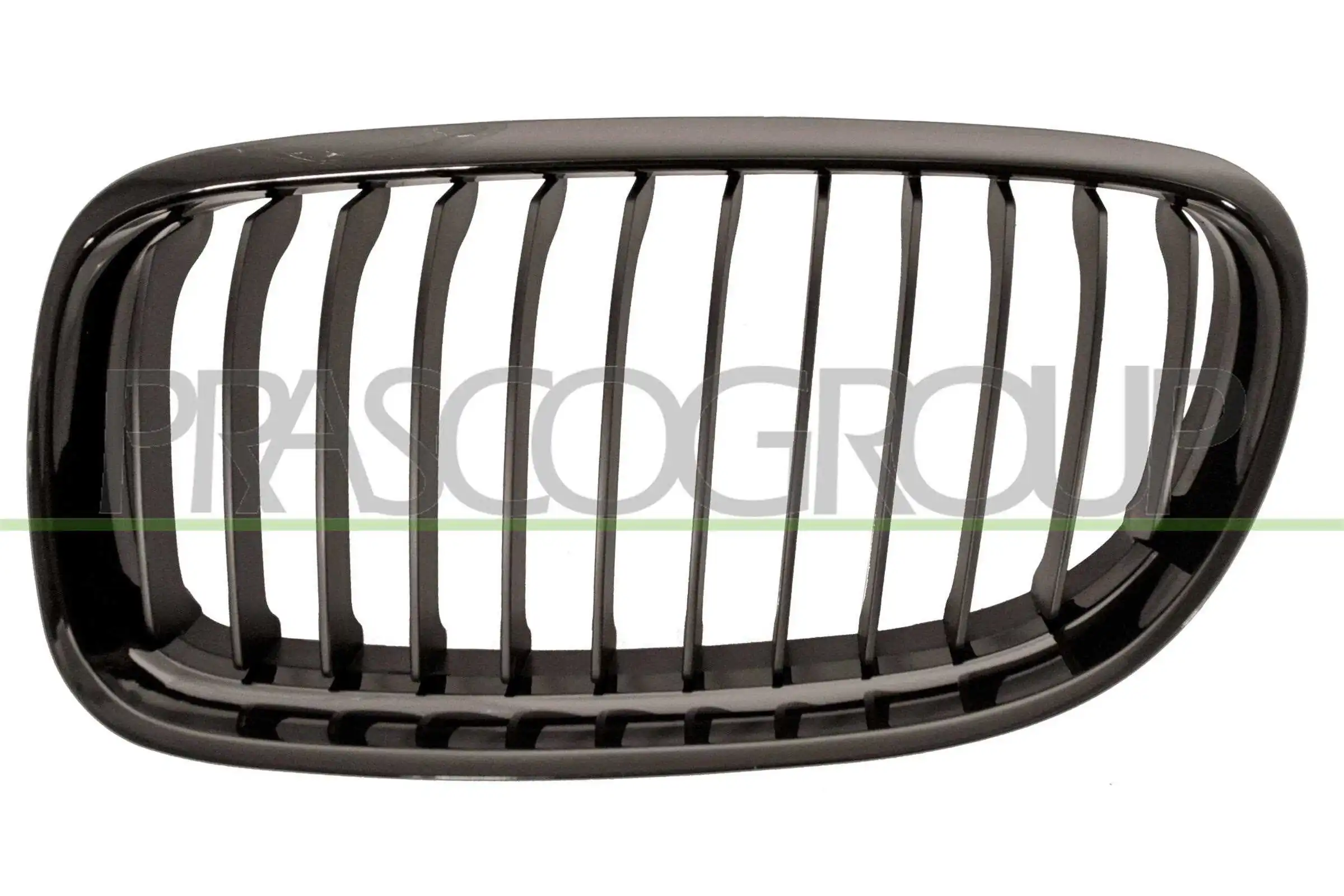 Radiator Grille