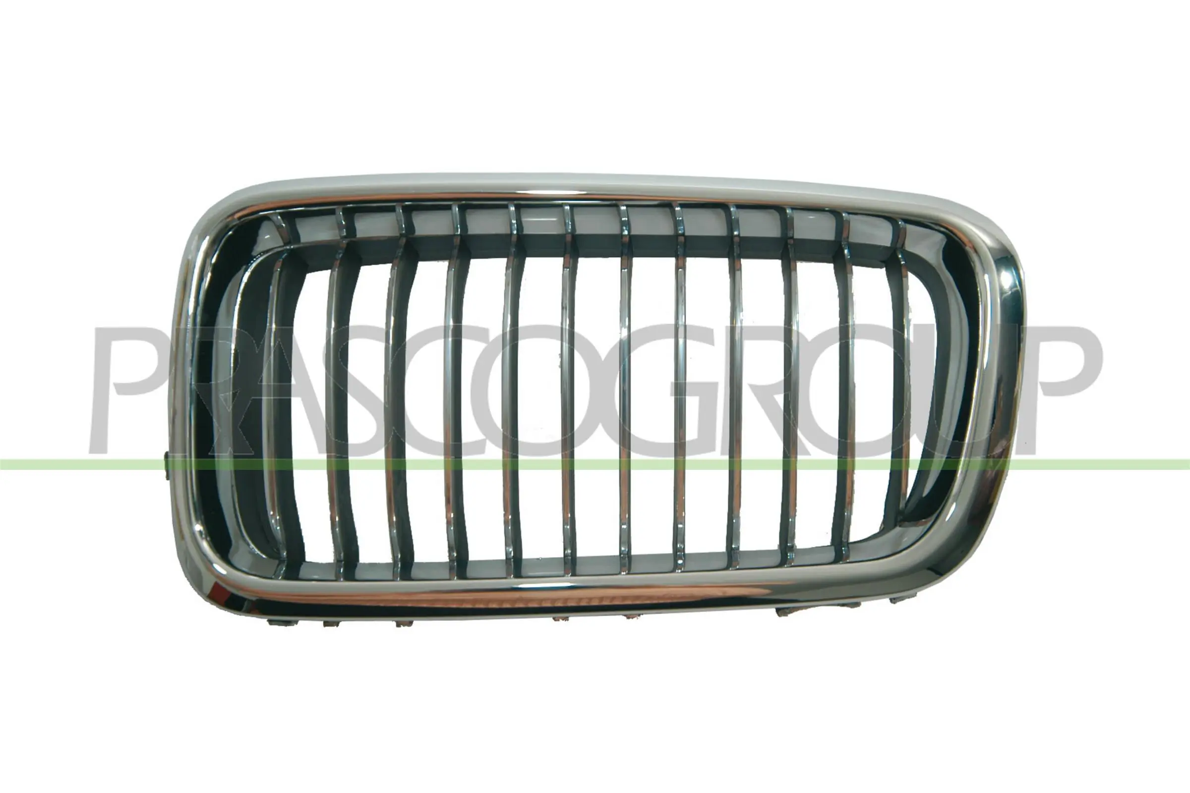 Radiator Grille