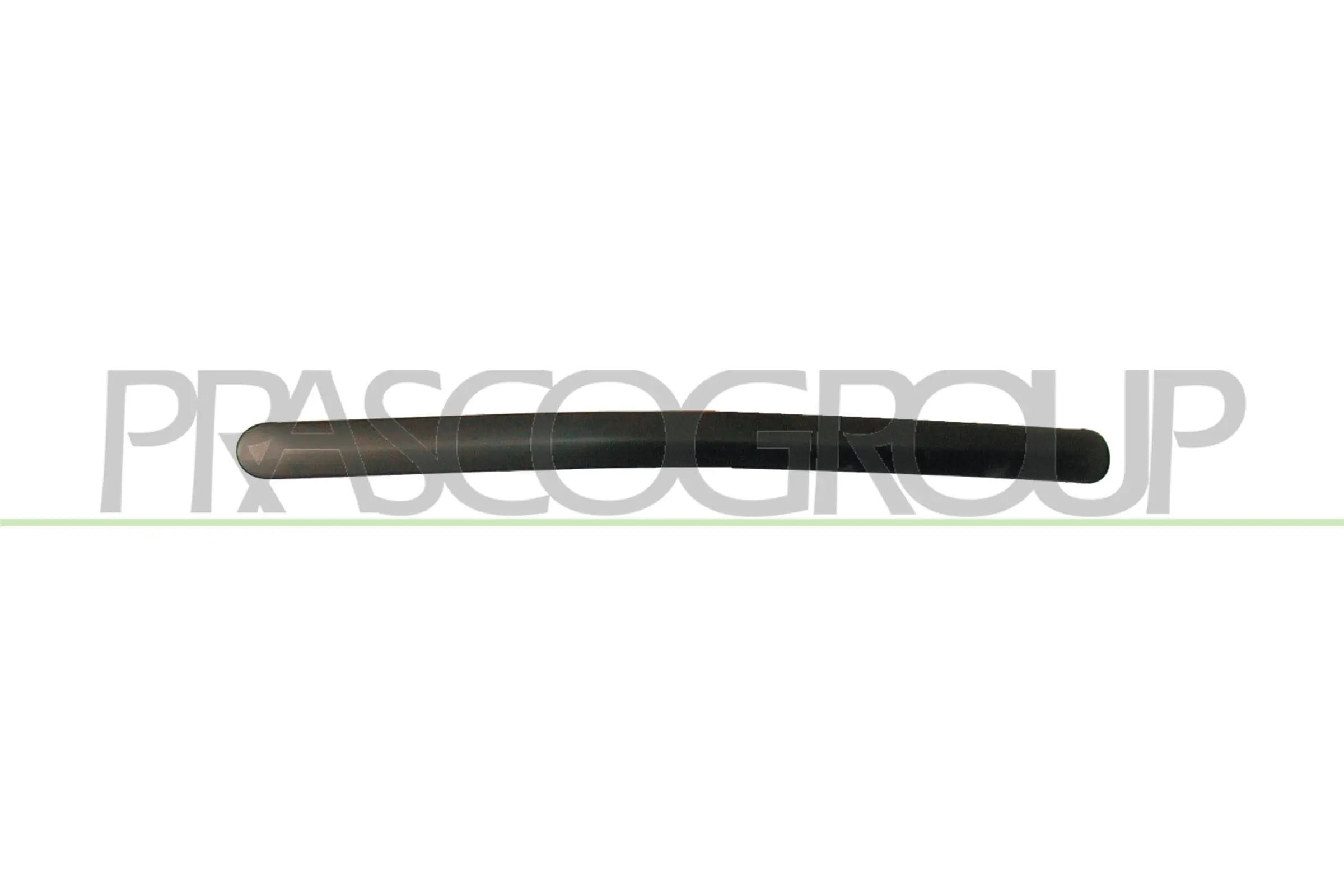 Trim/Protection Strip, quarter panel