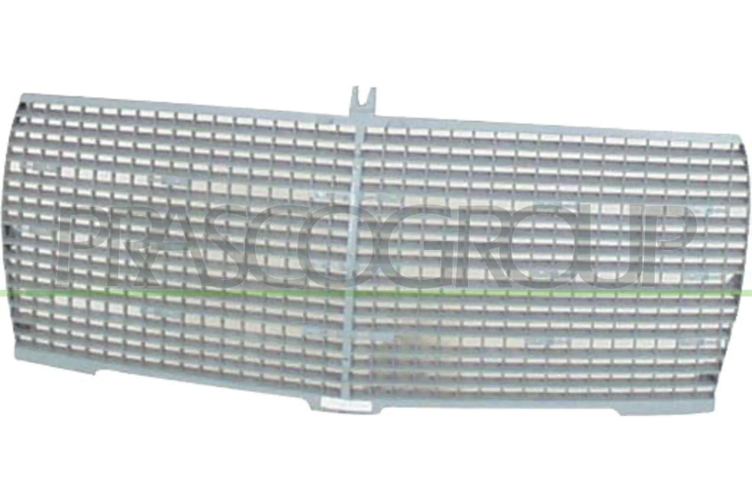 Radiator Grille