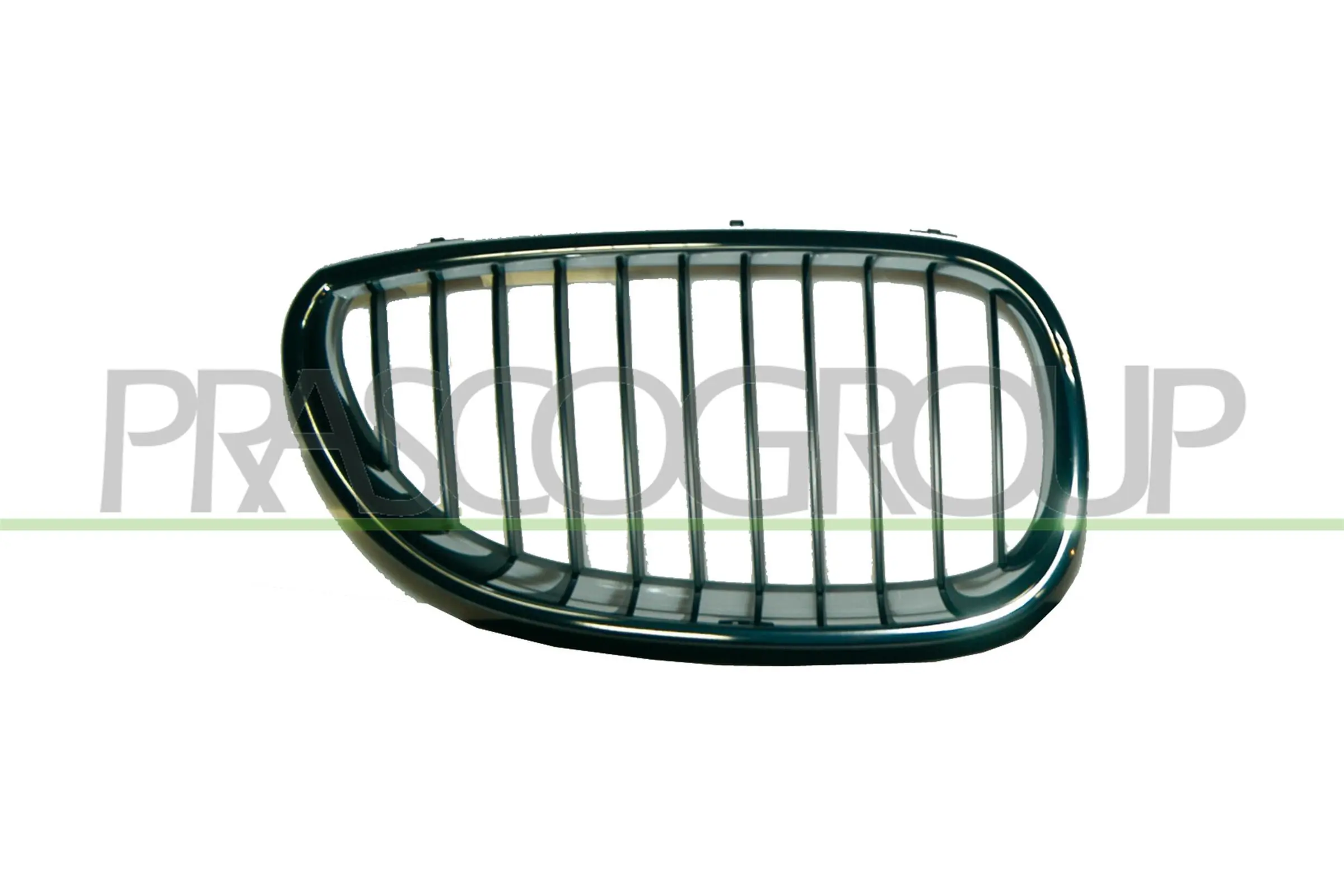 Radiator Grille