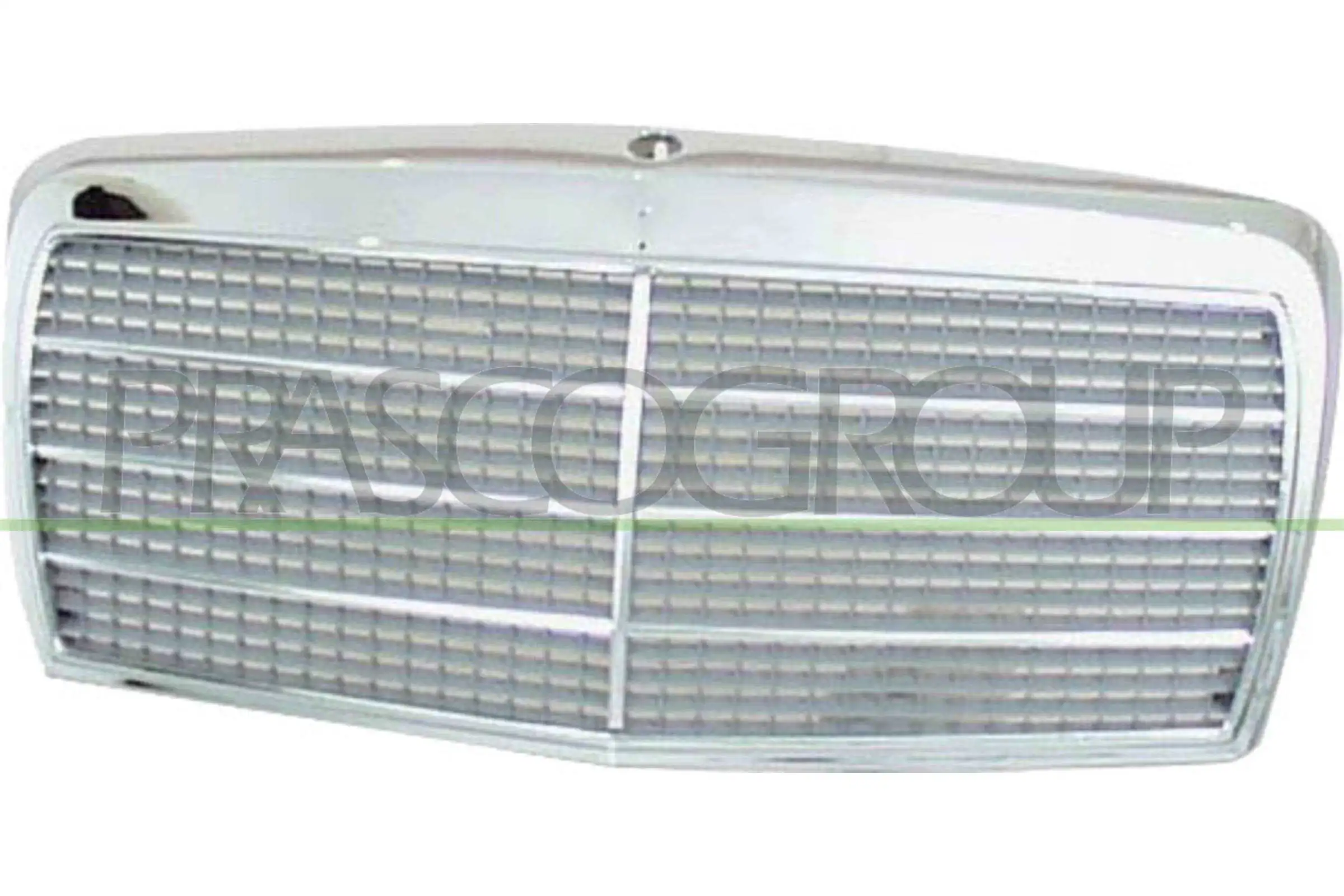 Radiator Grille
