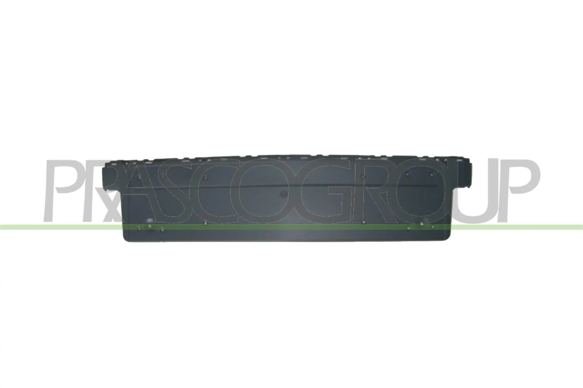 Licence Plate Holder