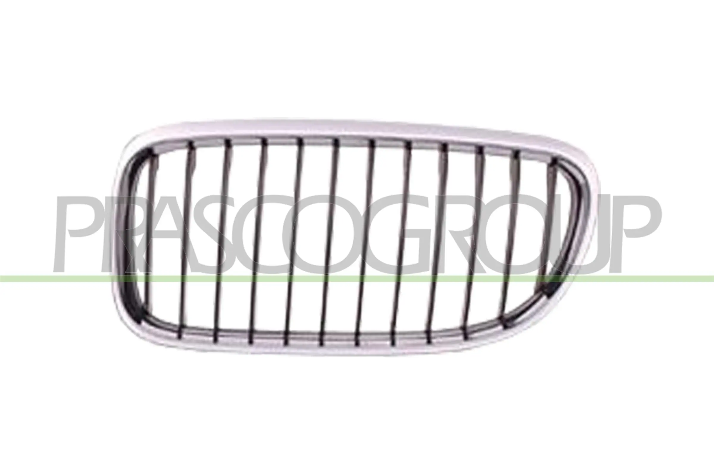 Radiator Grille