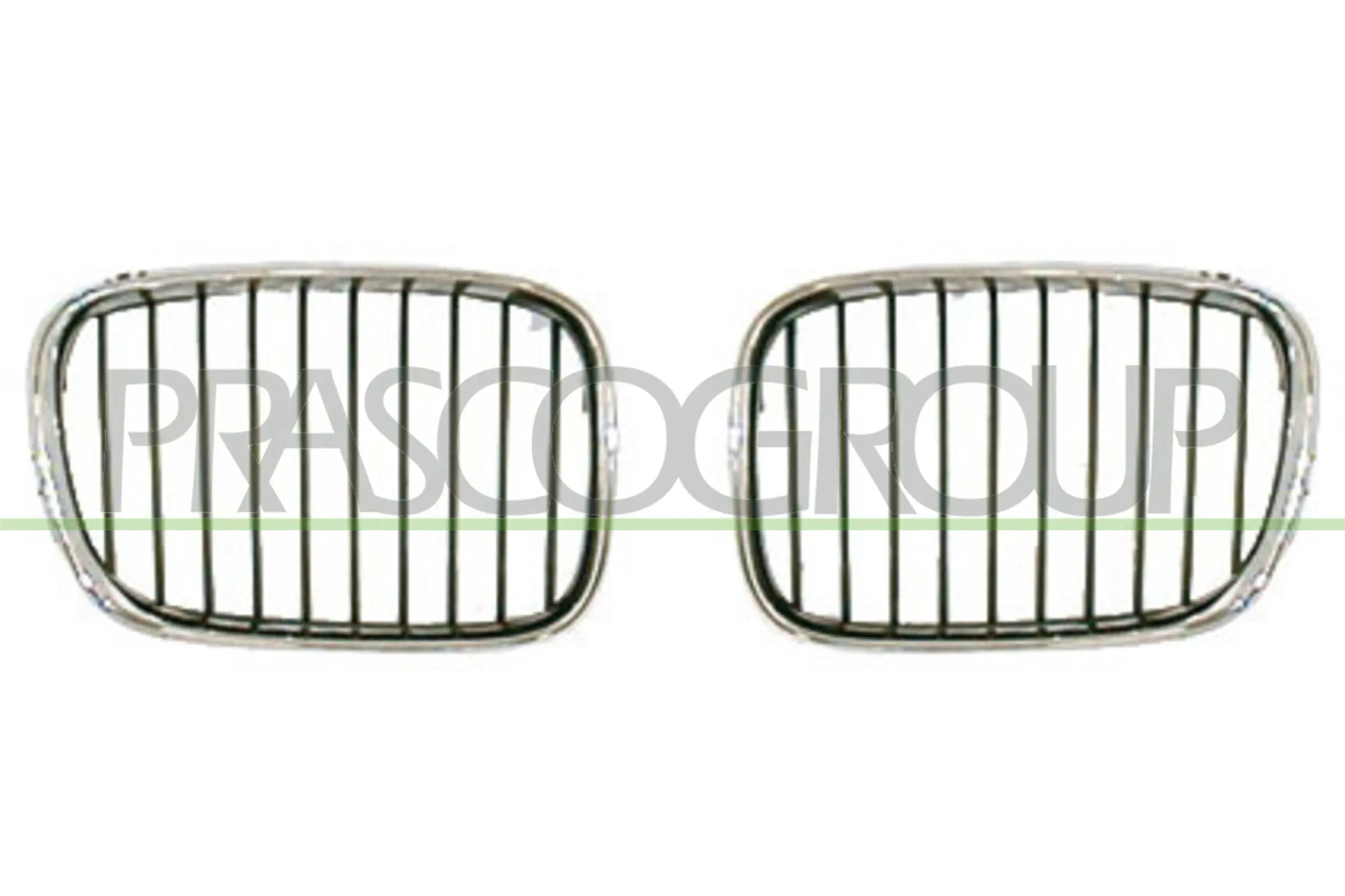 Radiator Grille