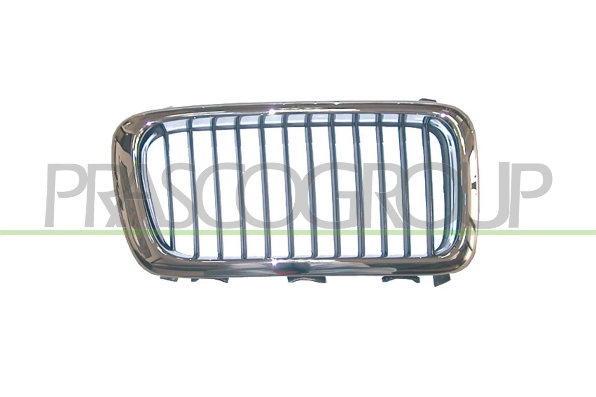Radiator Grille
