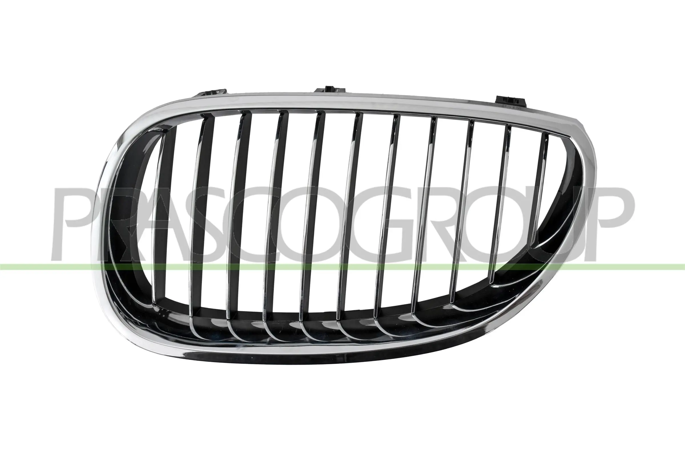 Radiator Grille