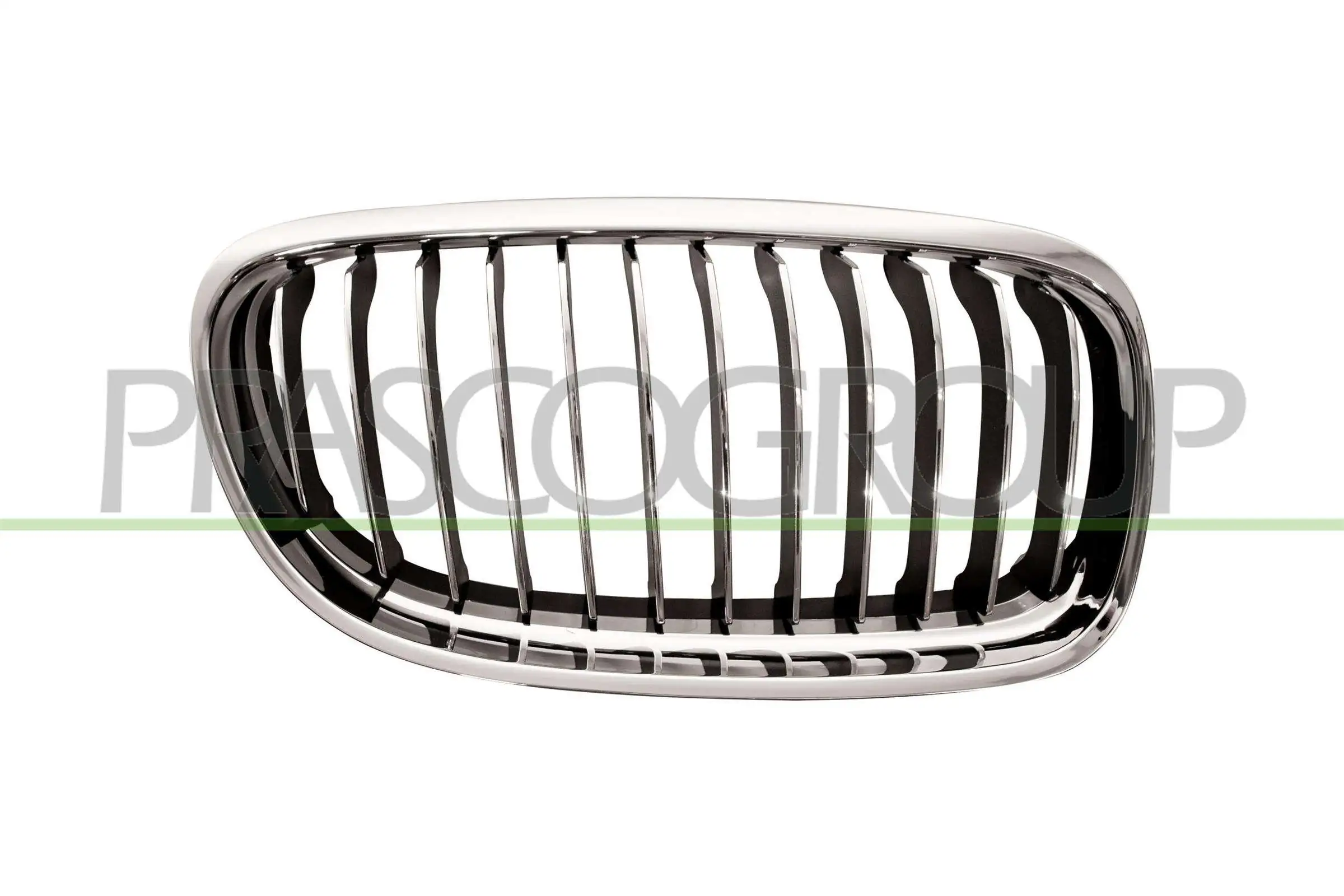 Radiator Grille