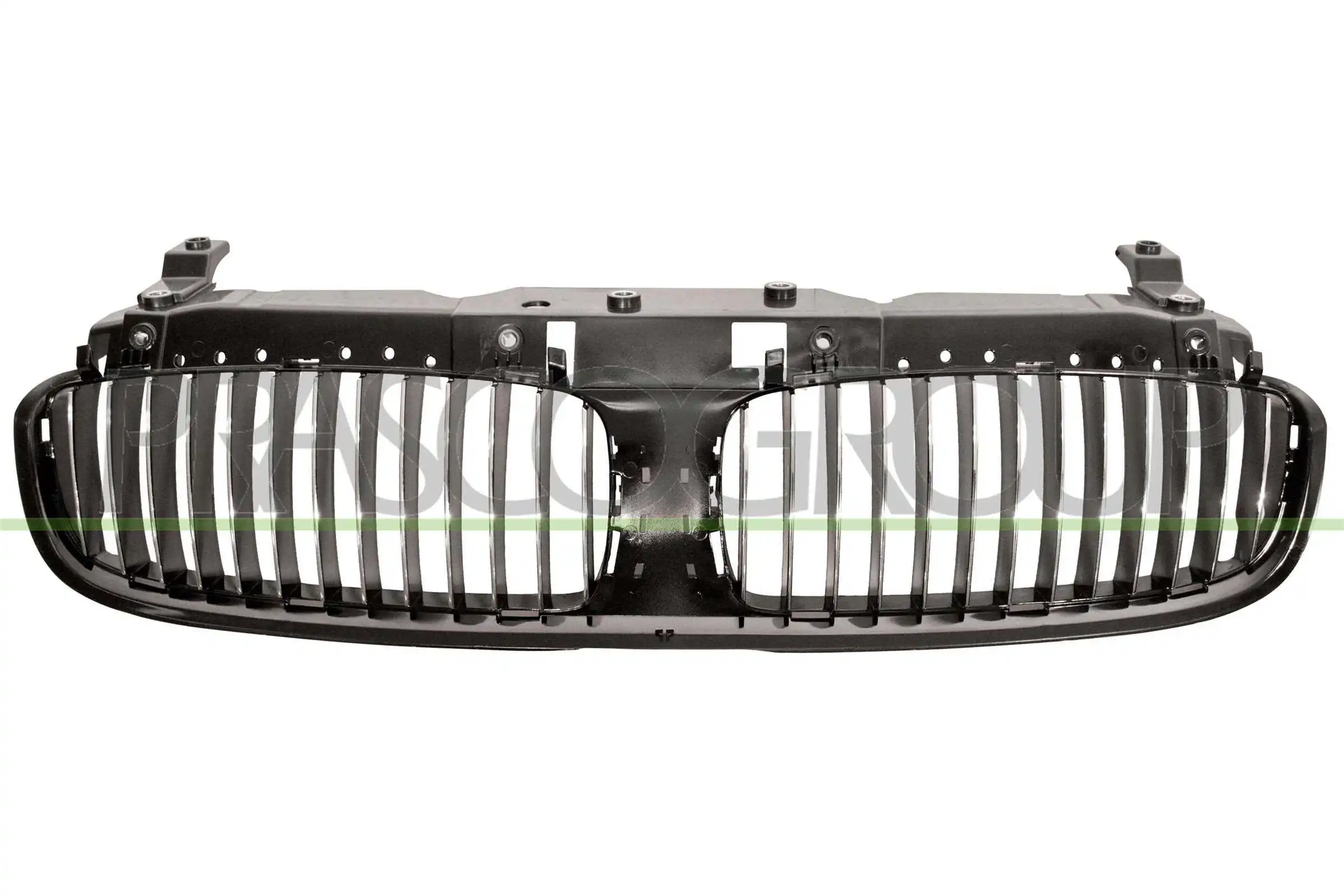 Radiator Grille