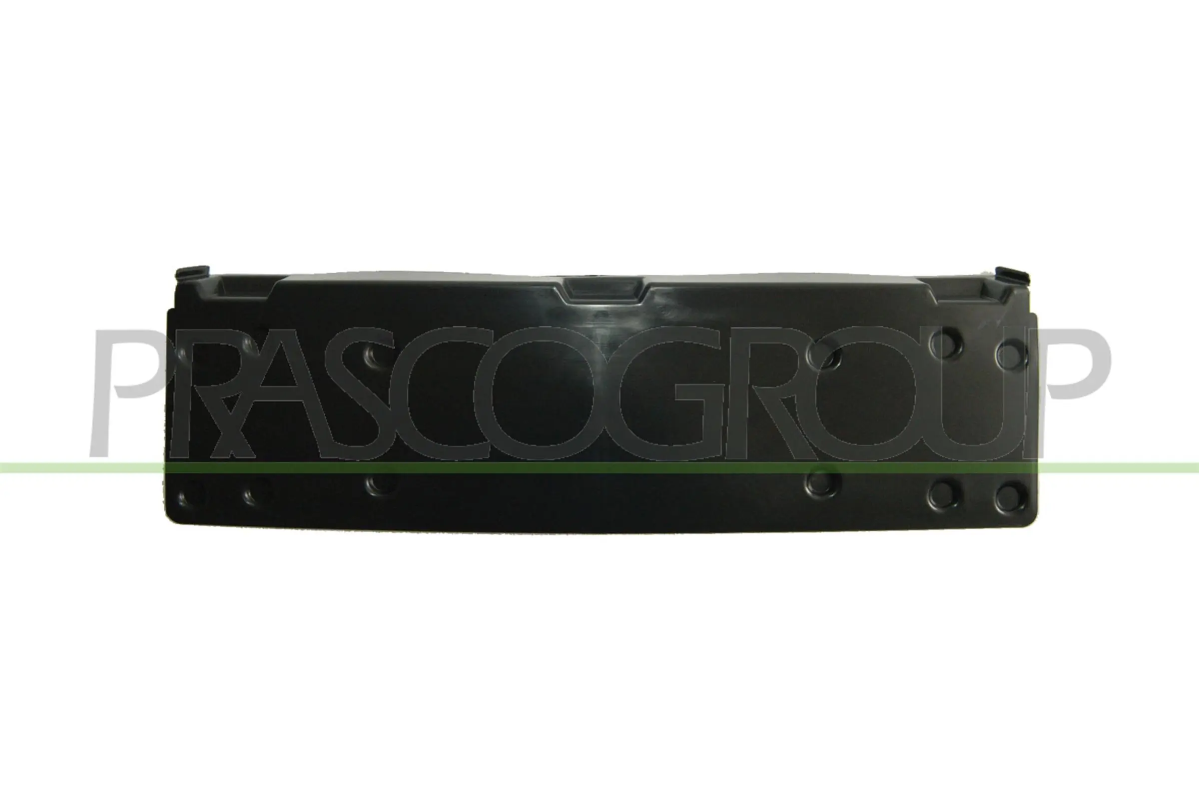 Licence Plate Holder