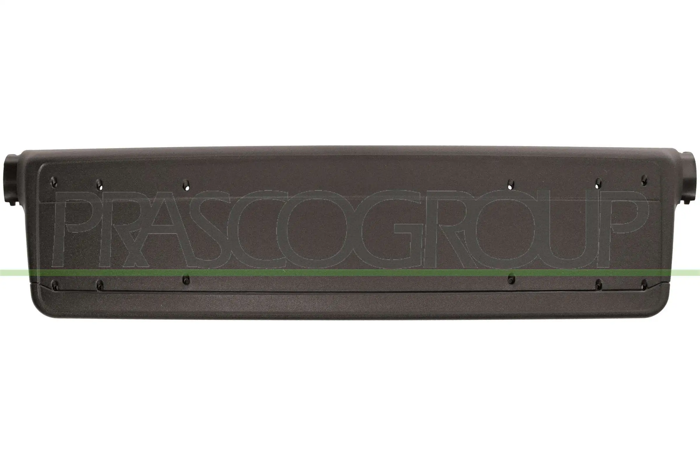 Licence Plate Holder