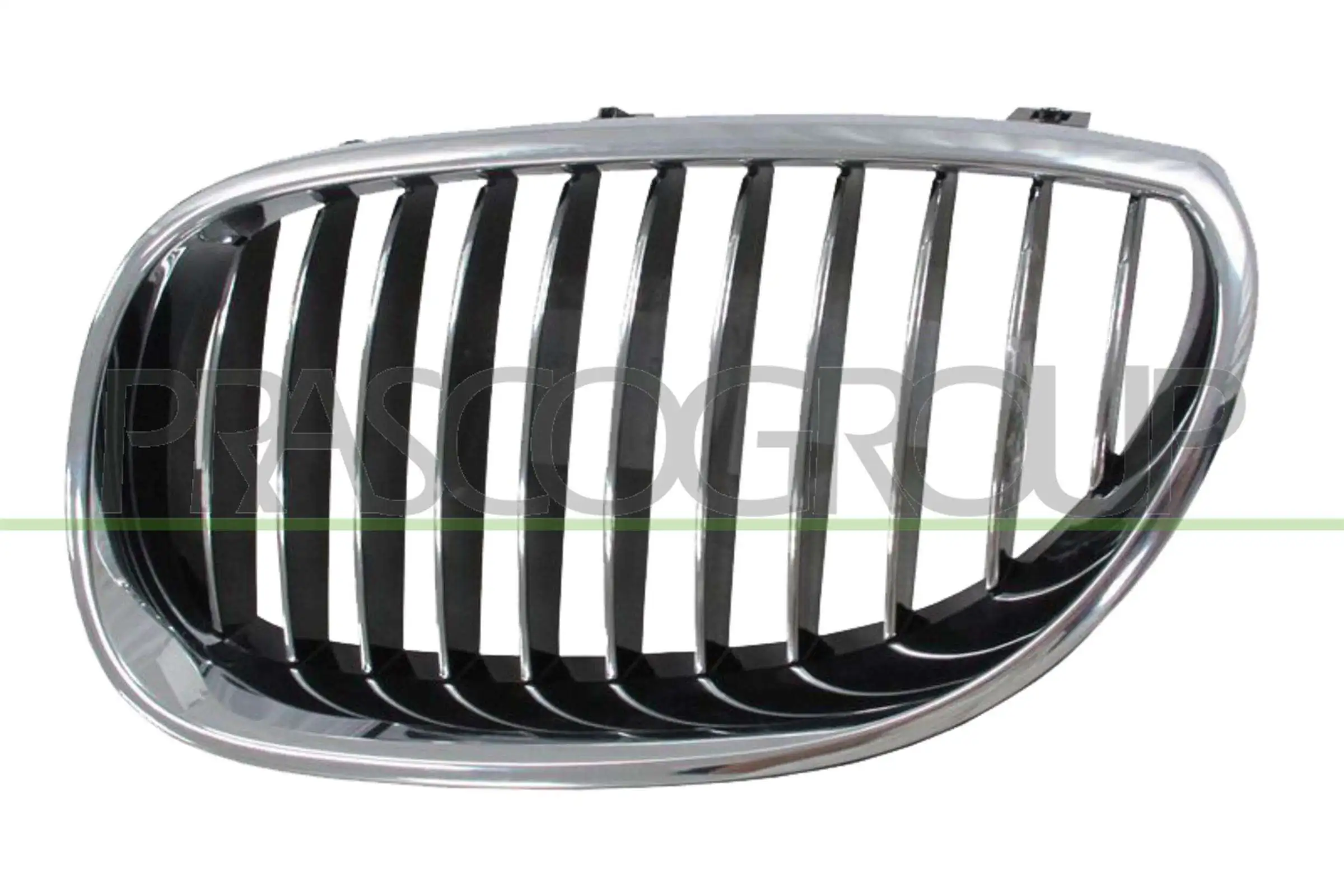 Radiator Grille