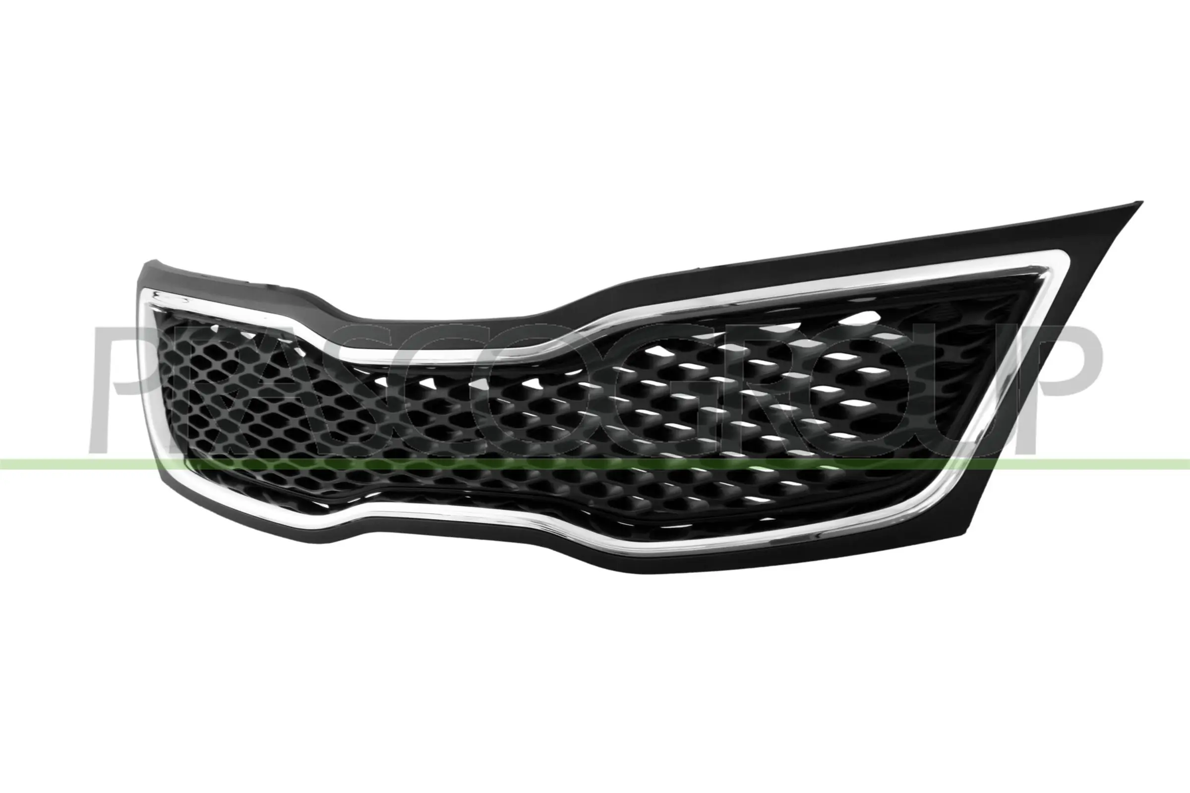 Radiator Grille