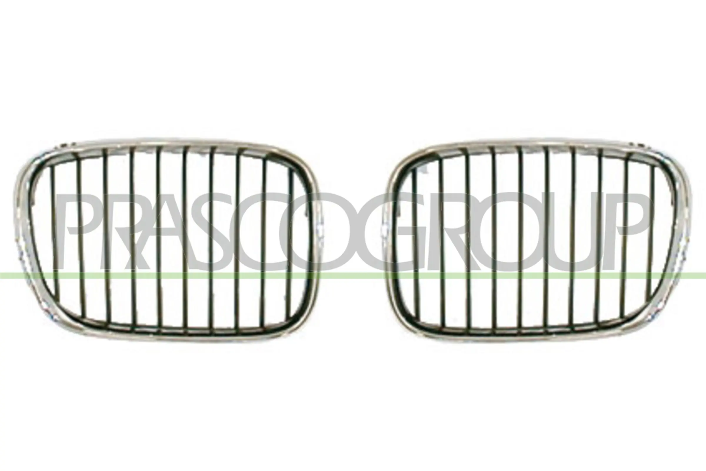 Radiator Grille