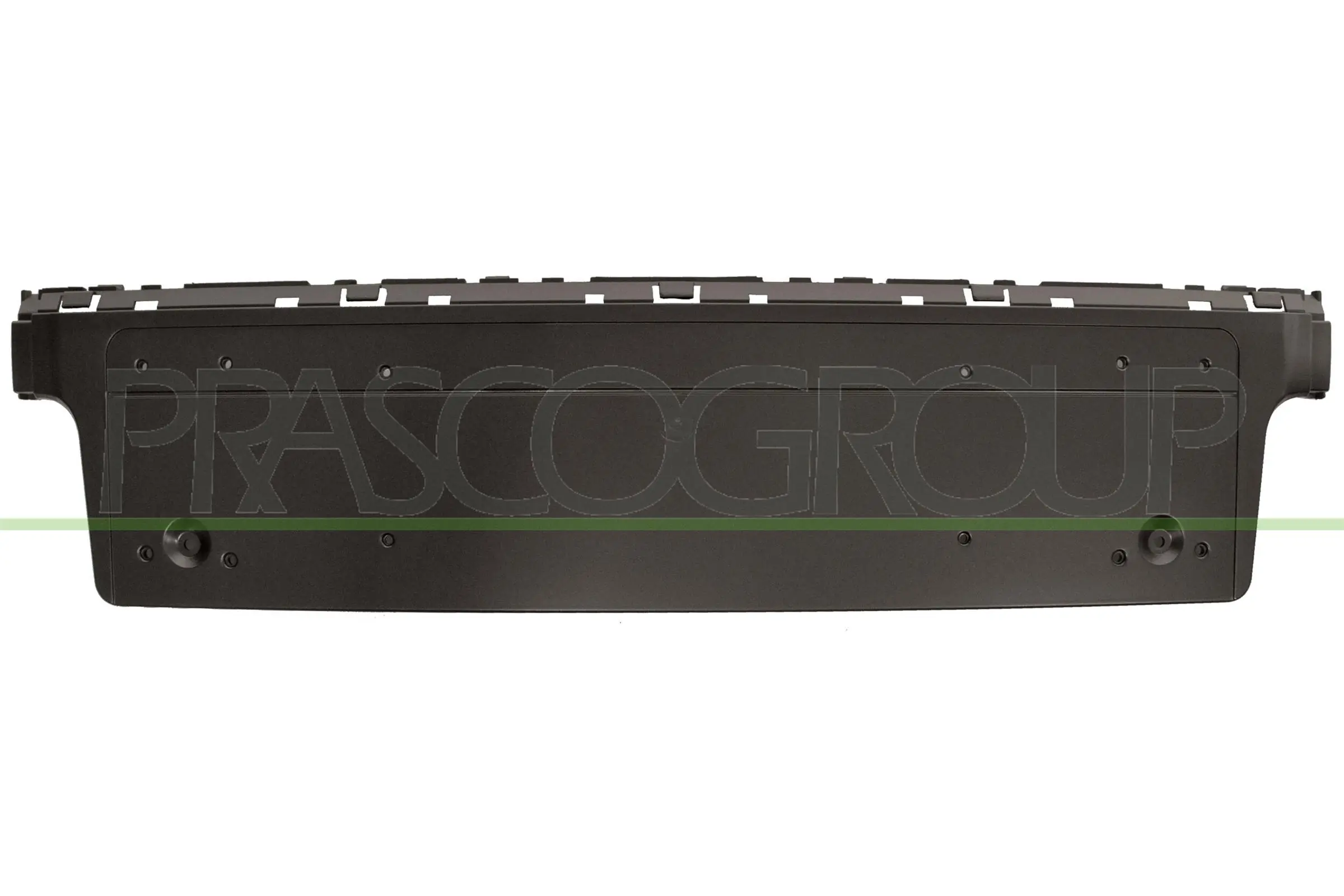 Licence Plate Holder