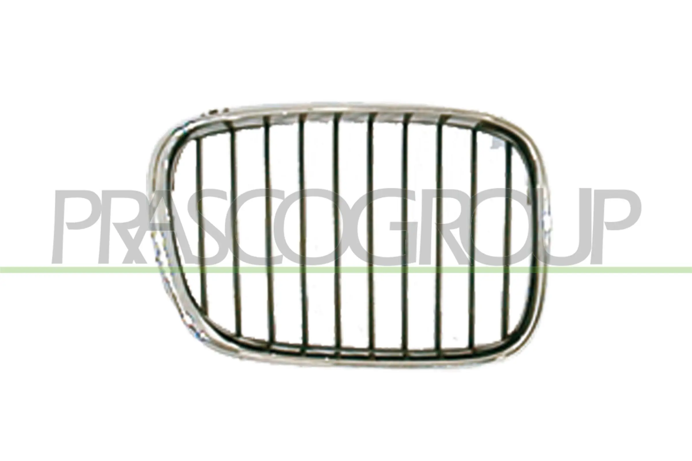 Radiator Grille