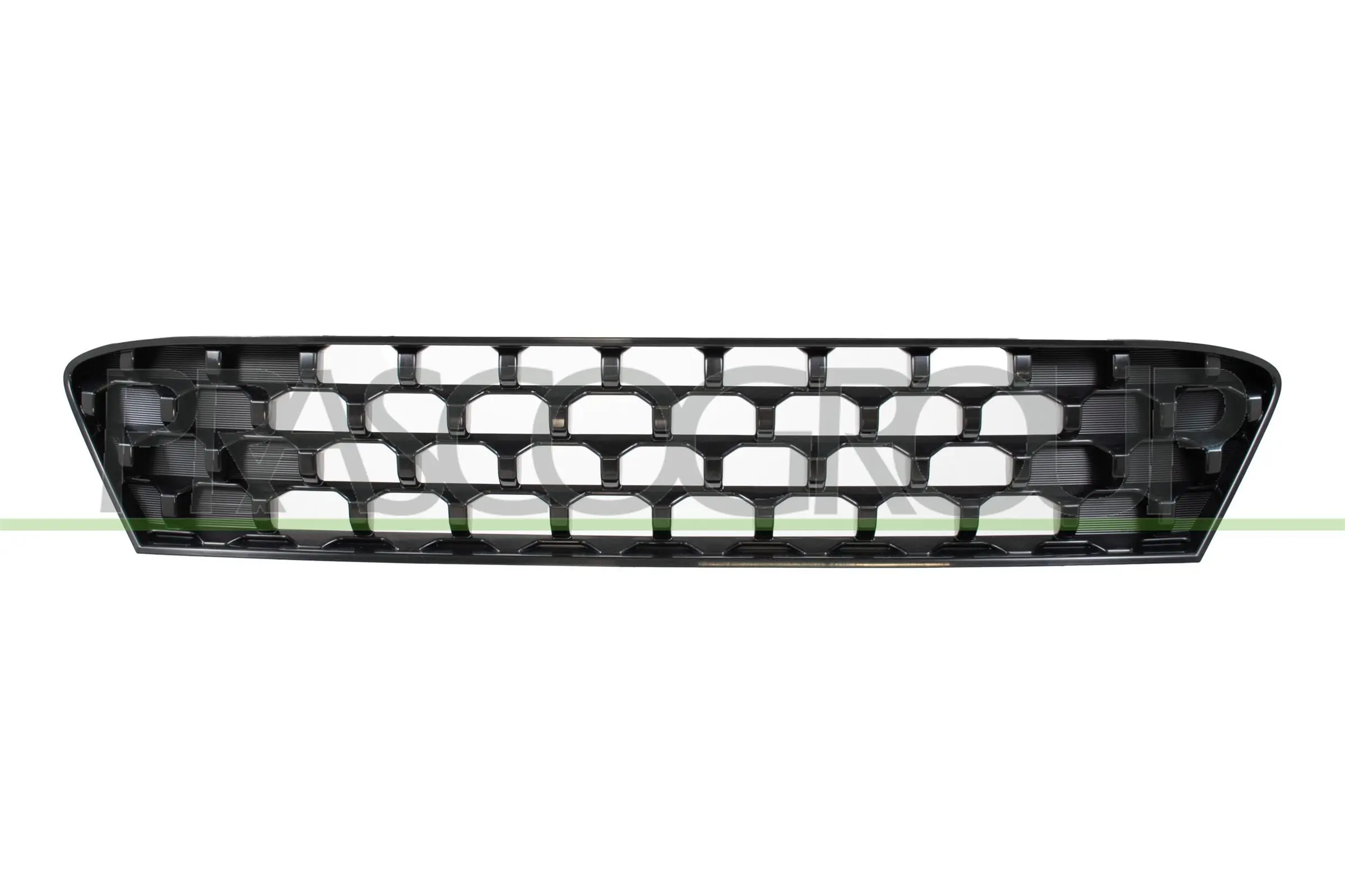 Radiator Grille