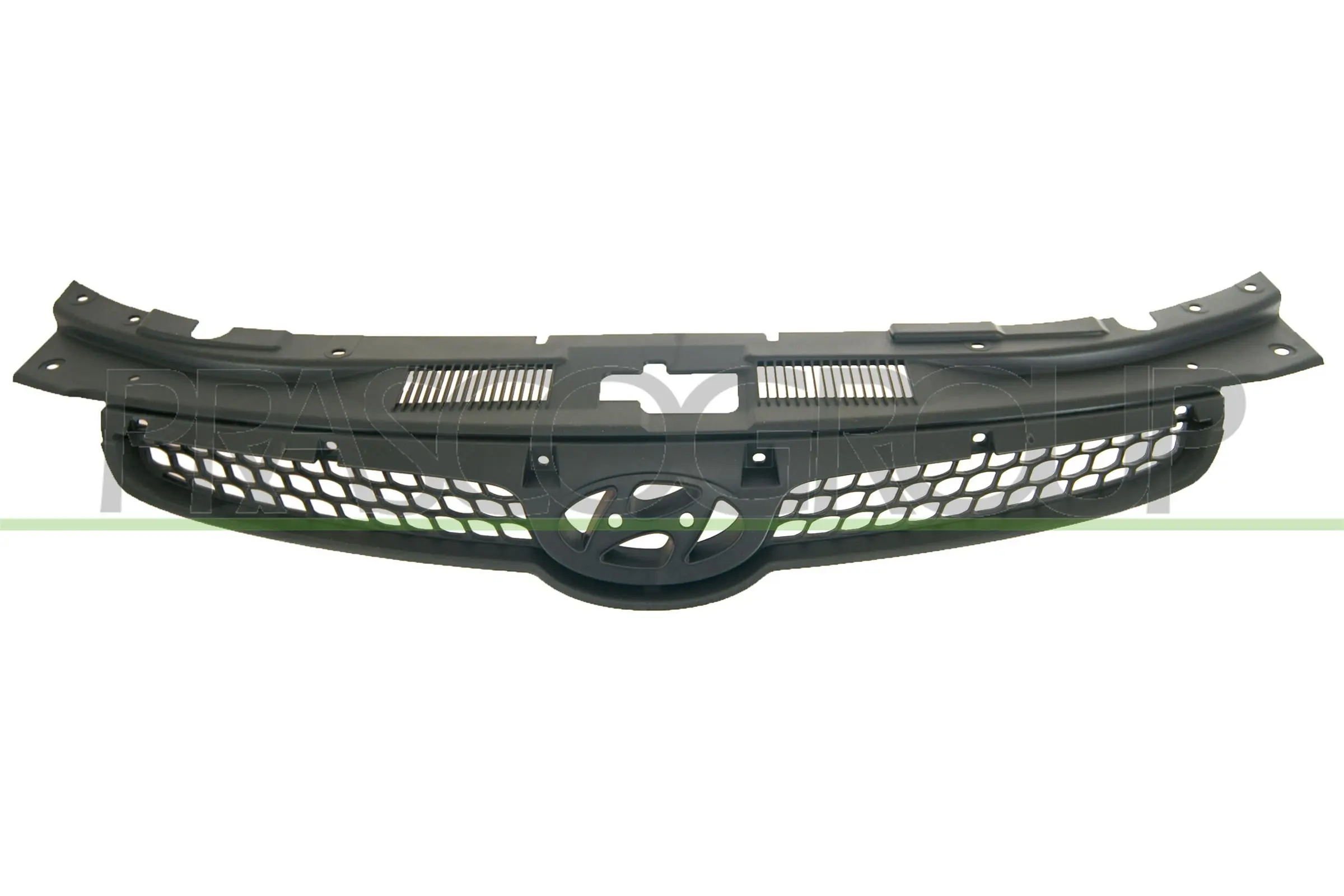 Radiator Grille