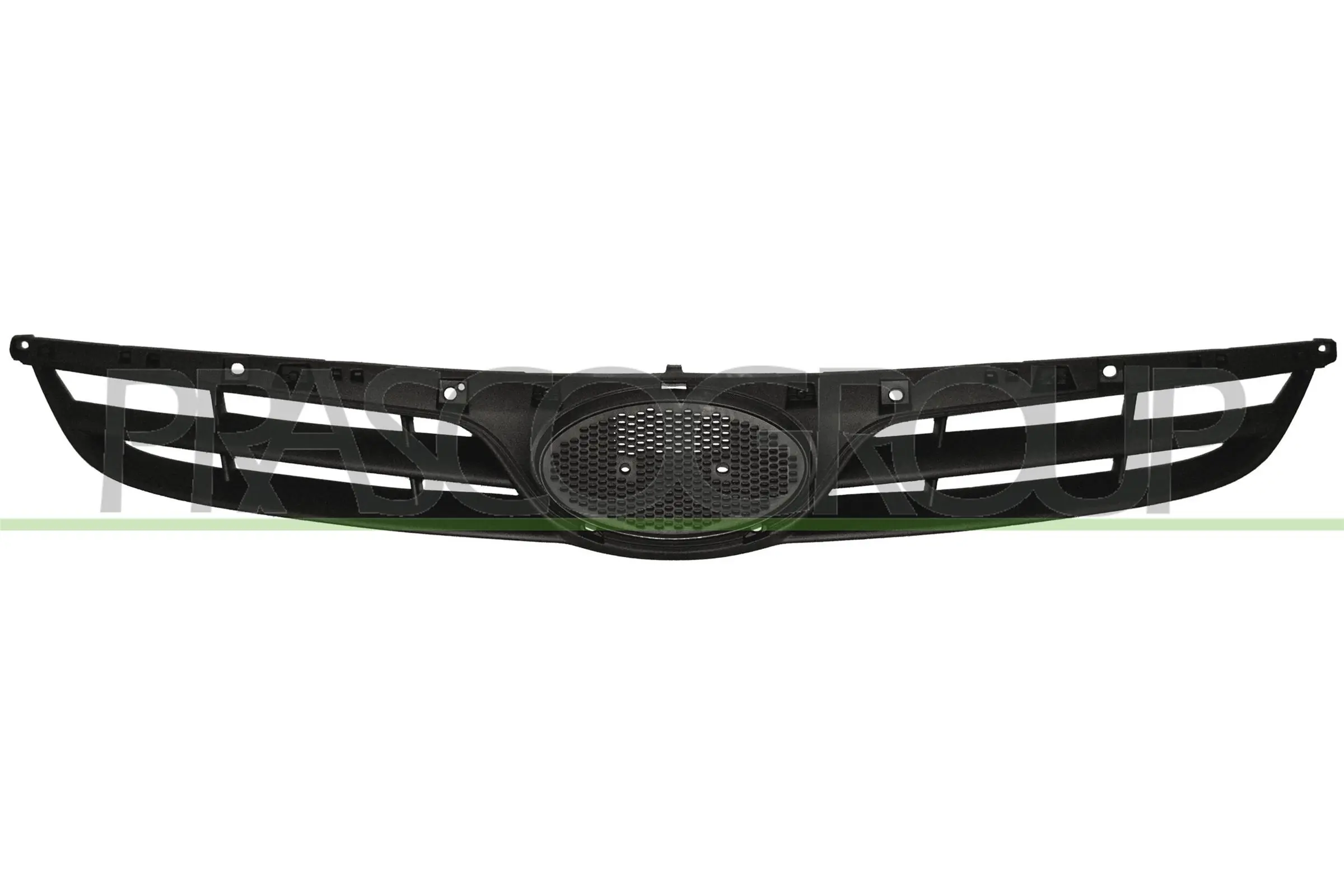 Radiator Grille