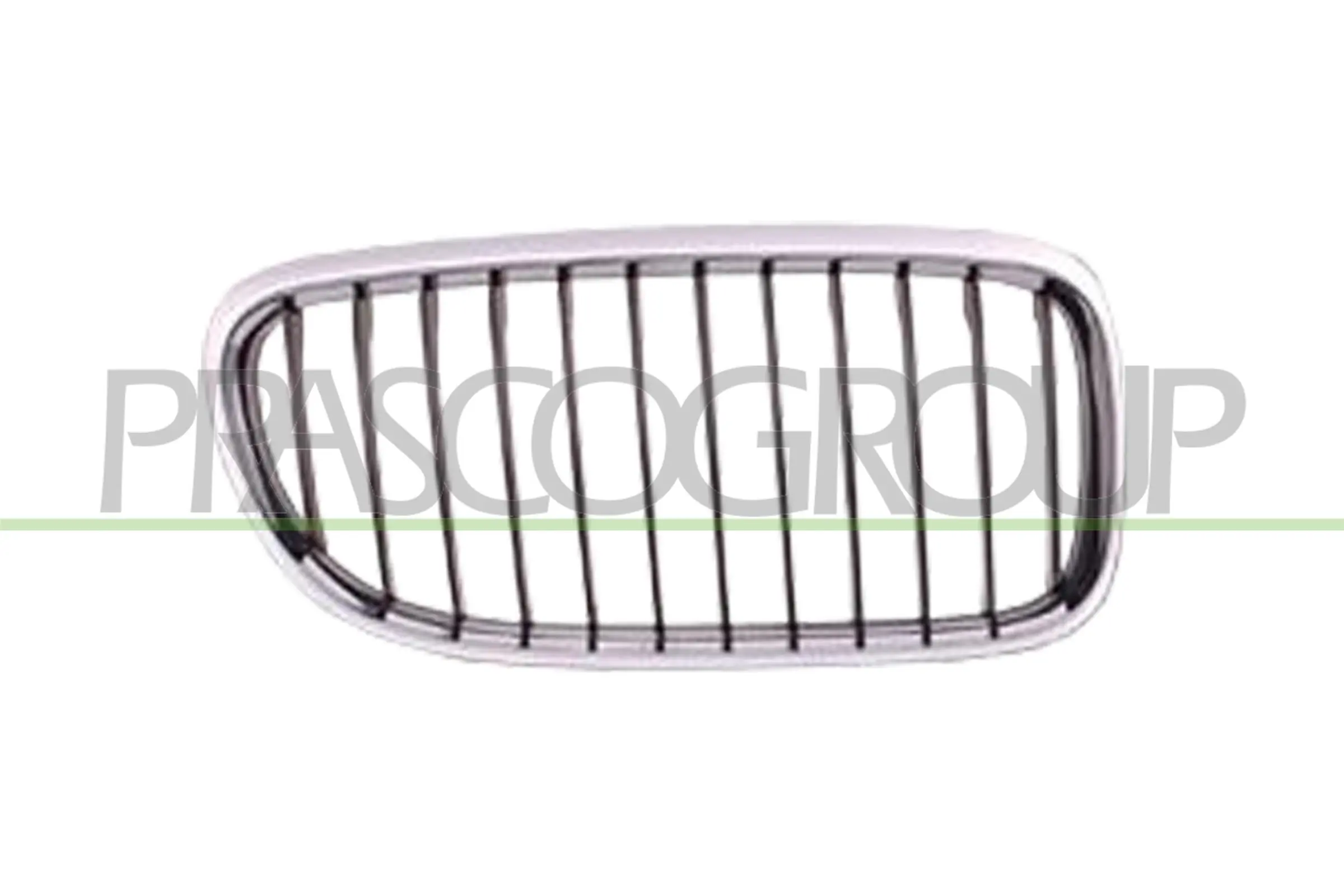 Radiator Grille