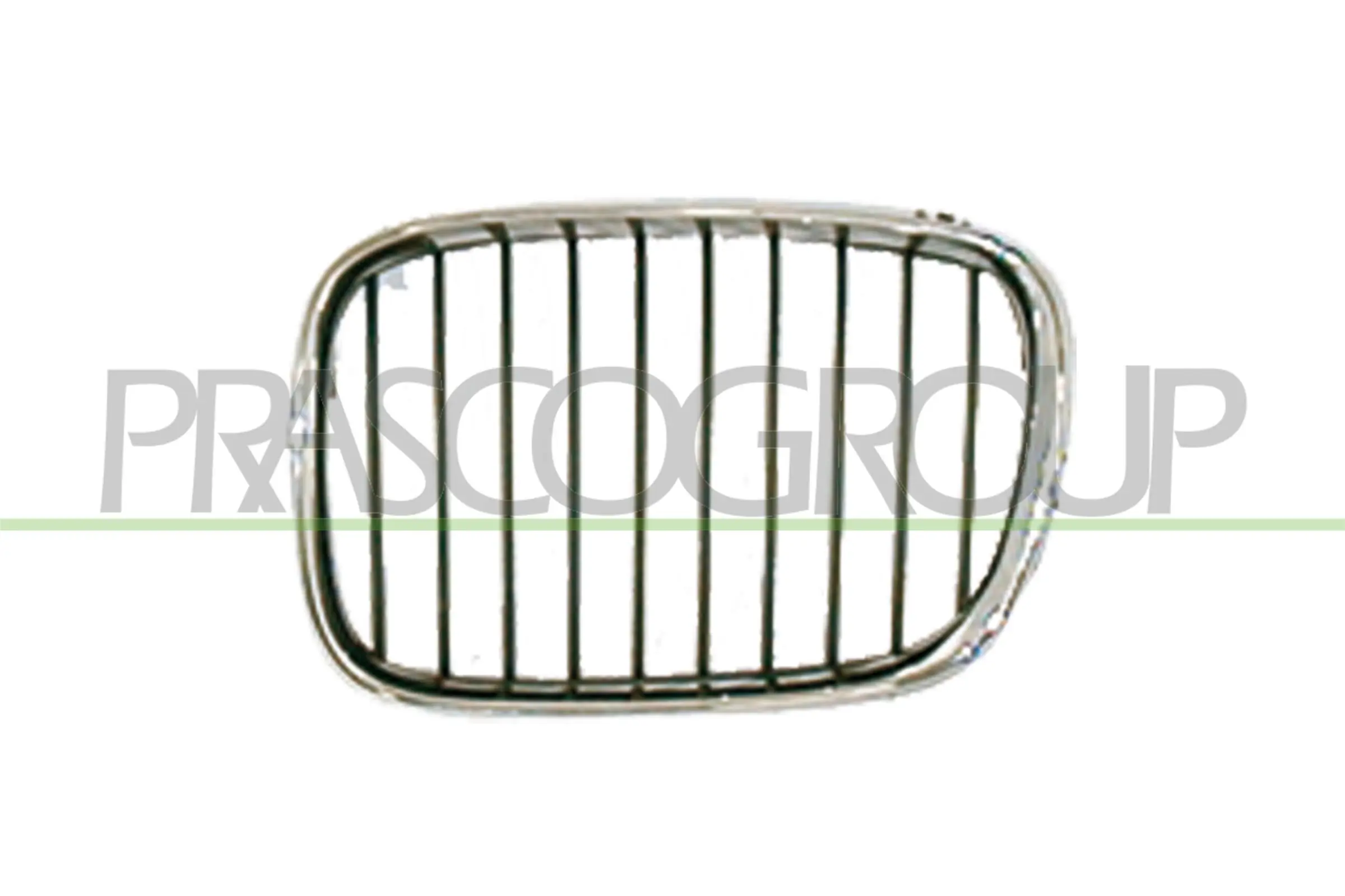 Radiator Grille