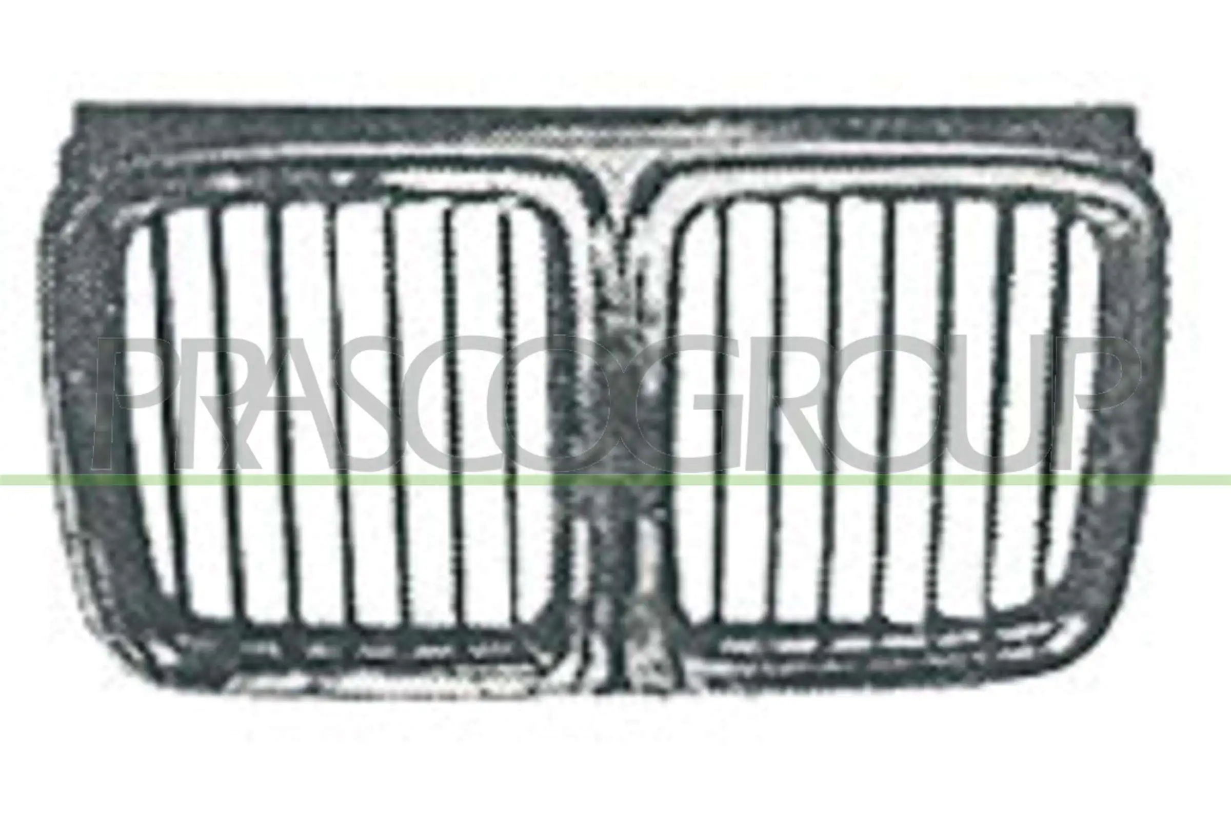 Radiator Grille