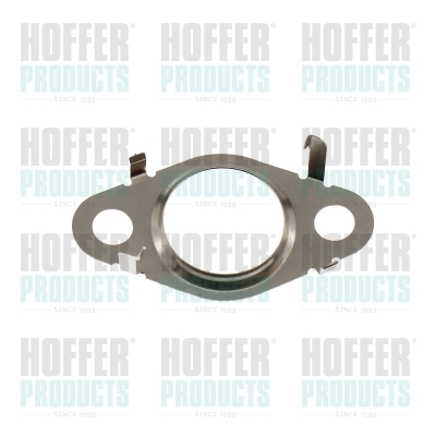 Gasket, EGR valve