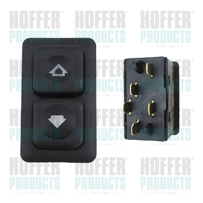 Switch, window regulator