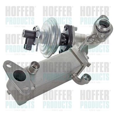 EGR Module