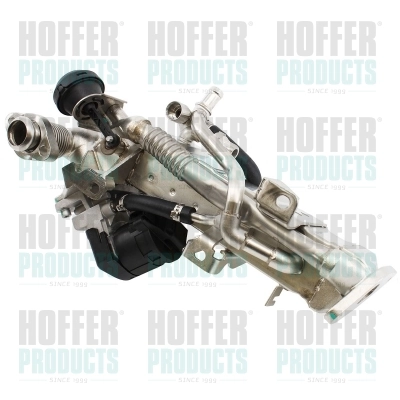EGR Module
