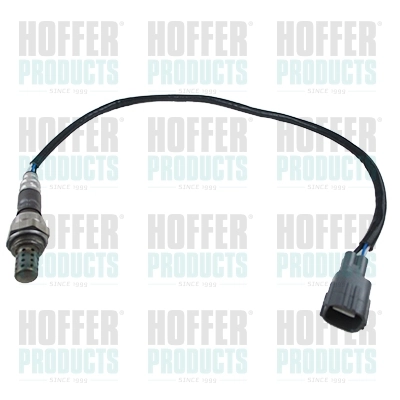 Oxygen Sensor