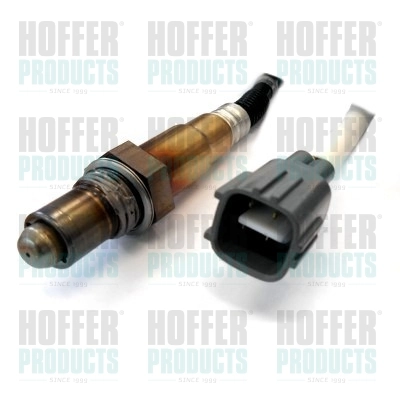 Oxygen Sensor