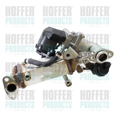 EGR Module